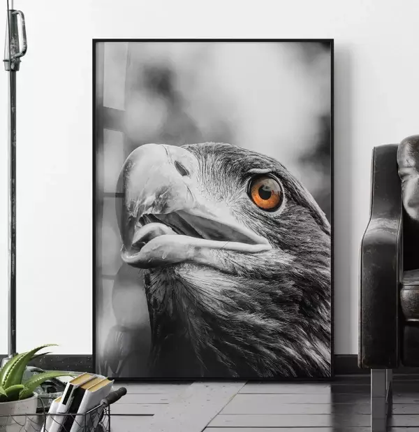 Quadro Decorativo Cabeca da Aguia Pb