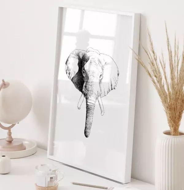 Quadro Decorativo Cabeca de Elefante Desenho