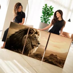 Kit Quadro Decorativo Trio Quadros Retangulares Leão Pôr do Sol Sépia