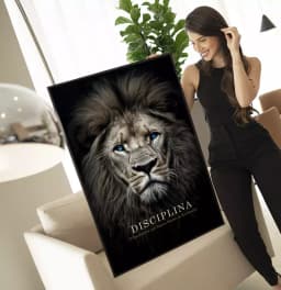 Quadro Decorativo Disciplina o Ingrediente