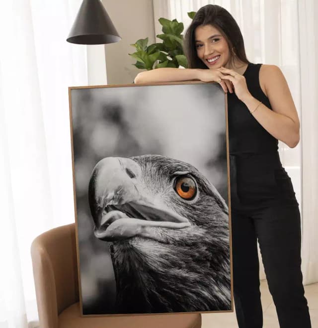 Quadro Decorativo Cabeca da Aguia Pb