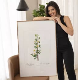 Quadro Decorativo Coleção Botanical Floral Rosa Myriacantha