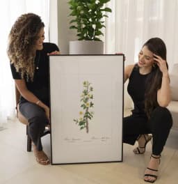 Quadro Decorativo Coleção Botanical Floral Rosa Myriacantha