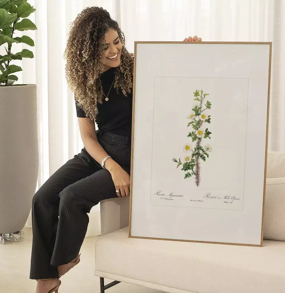 Quadro Decorativo Coleção Botanical Floral Rosa Myriacantha