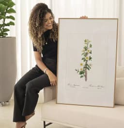 Quadro Decorativo Coleção Botanical Floral Rosa Myriacantha