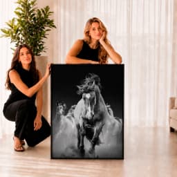 Quadro Decorativos à Frente da Manada