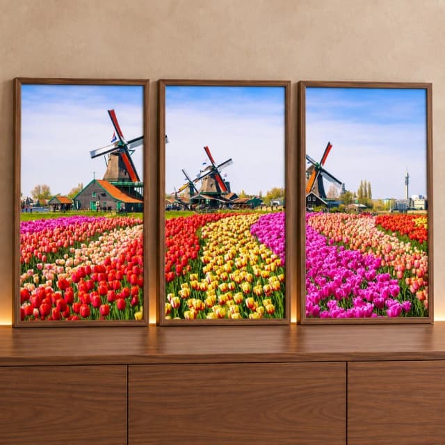 Kit 3 Quadros Decorativos Tulipas da Holanda