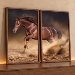 Kit Quadros Decorativos Cavalo
