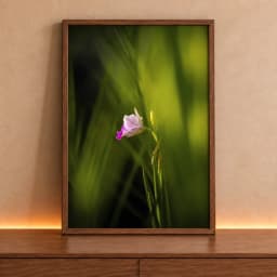 Quadro Decorativo Florescer