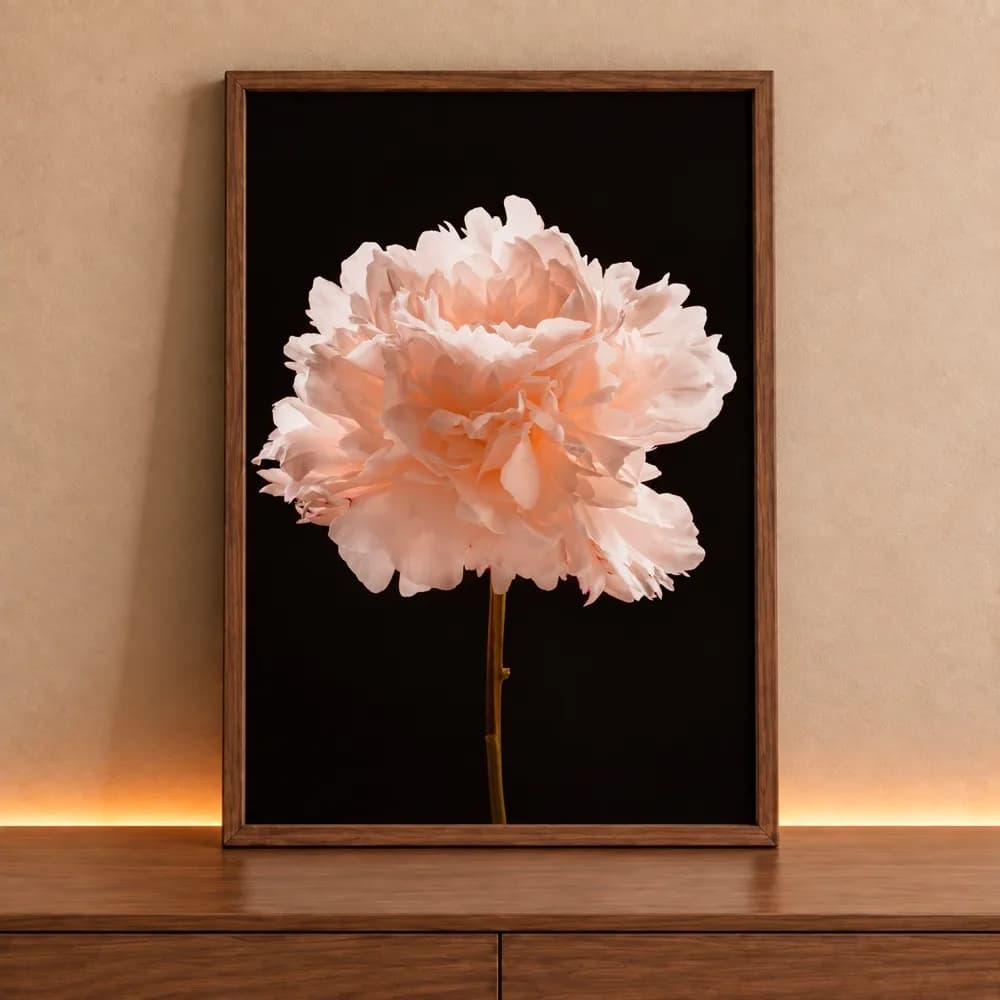 Quadro Decorativo Peônia de Luz