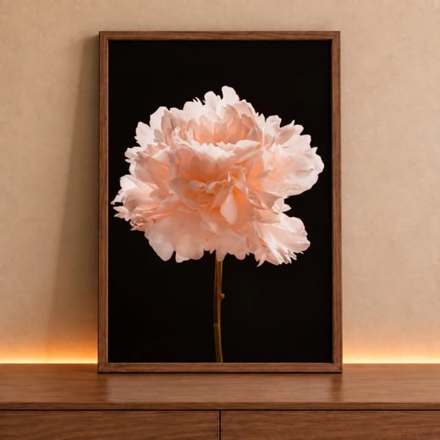 Quadro Decorativo Peônia de Luz