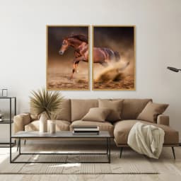 Kit Quadros Decorativos Cavalo