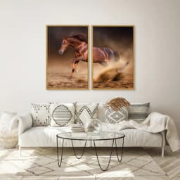 Kit Quadros Decorativos Cavalo