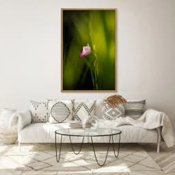 Quadro Decorativo Florescer