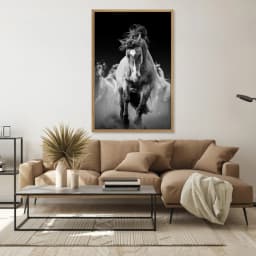Quadro Decorativos à Frente da Manada