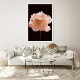 Quadro Decorativo Peônia de Luz