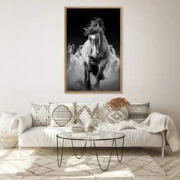 Quadro Decorativos à Frente da Manada