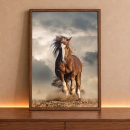 Quadro Decorativos Cavalo Alma Selvagem