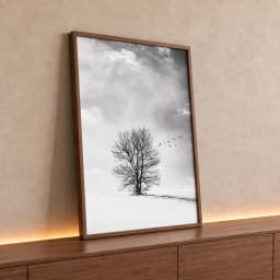Quadro Decorativo Retangular Arvore Solitaria Do Gelo